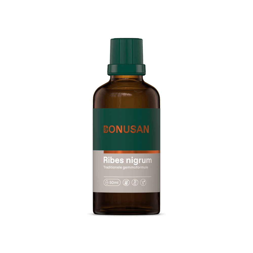 Bonusan Ribes nigrum