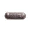 Bonusan Ribes nigrum extract - Afbeelding 2